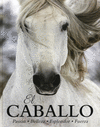 CABALLO EL PASION BELLEZA ESPLEDOR FUERZA